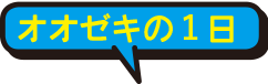 オオゼキの一日