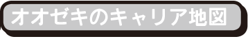 オオゼキのキャリア地図