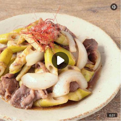 四方竹  本文.JPG