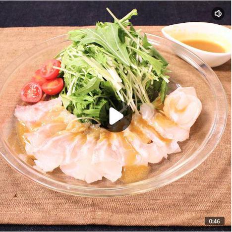 真鯛 本文.JPG